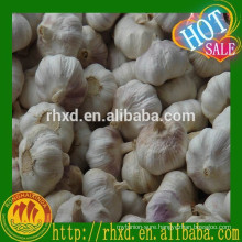 10kg carton garlic, red garlic white garlic, garlic price